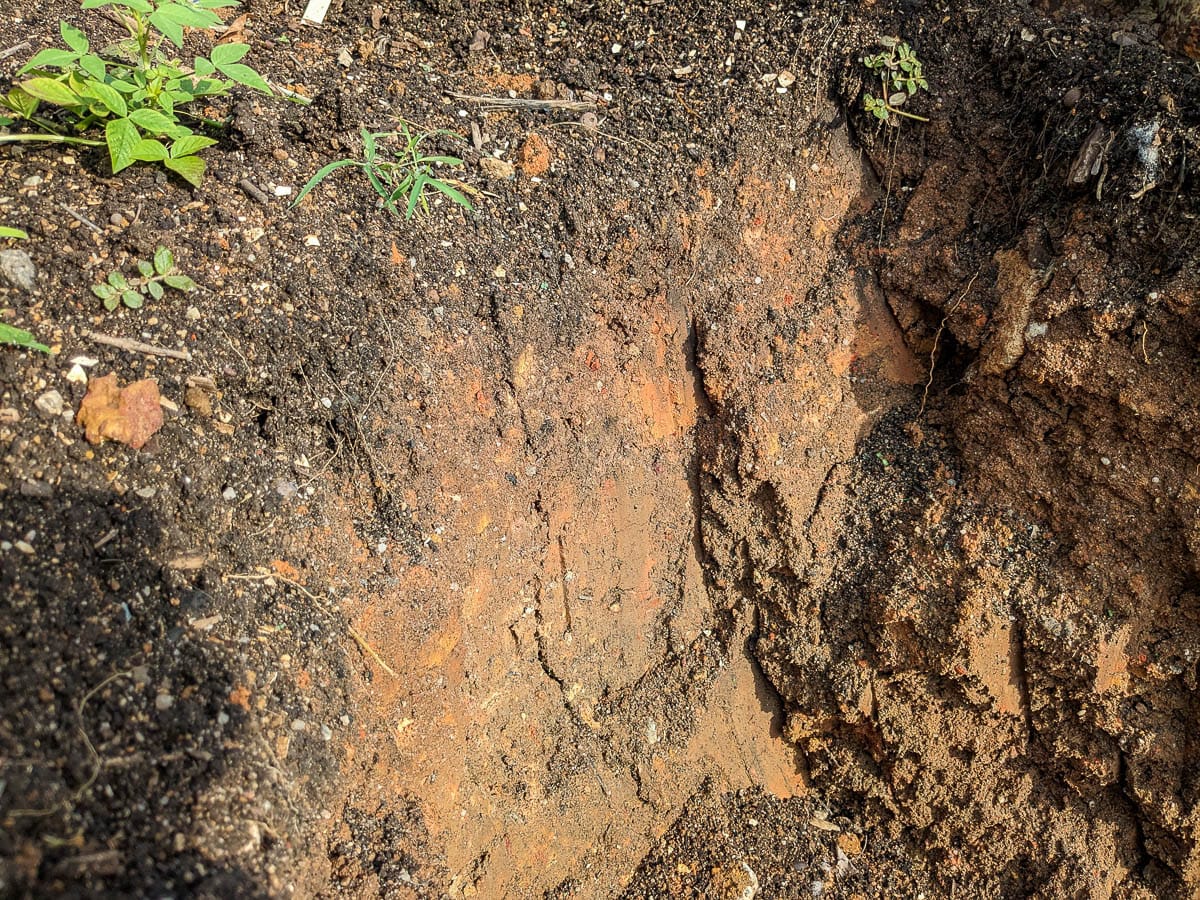Close-up of a dug patch of soil with brown and orange areas